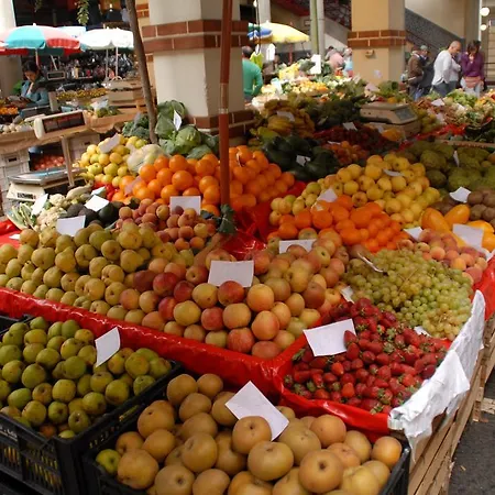 호텔 Pico Da Urze - Paul Da Serra 칼례타