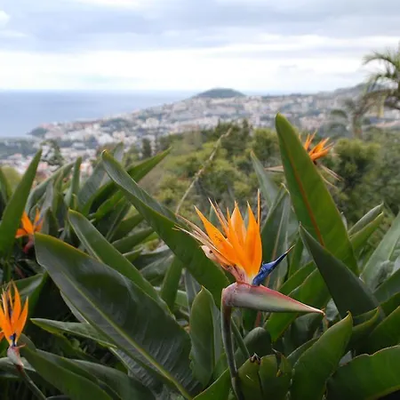 호텔 Pico Da Urze - Paul Da Serra