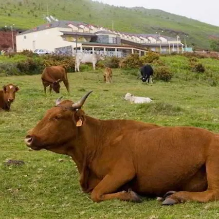 Pico Da Urze - Paul Da Serra