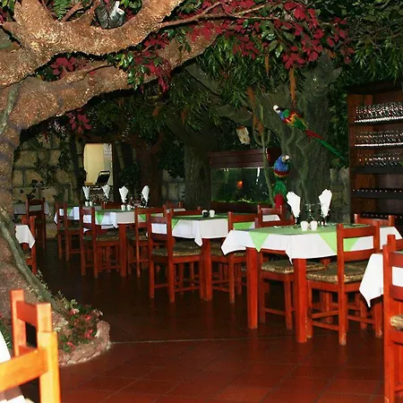 Pico Da Urze - Paul Da Serra