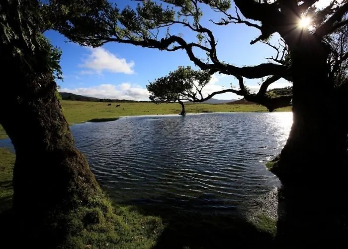 Pico Da Urze - Paul Da Serra