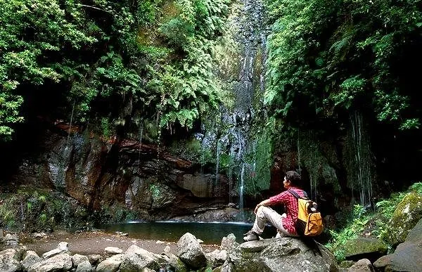 Hotel Pico Da Urze - Paul Da Serra