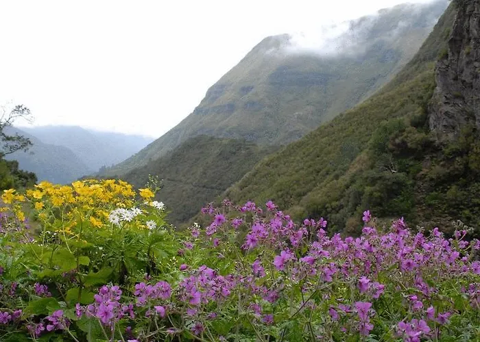 Hotel Pico Da Urze - Paul Da Serra