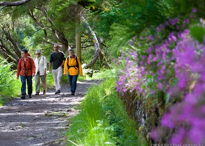 Pico Da Urze - Paul Da Serra Hotel Calheta (Madeira)