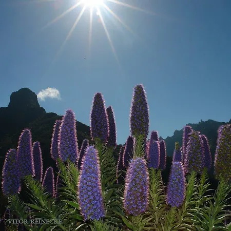 Pico Da Urze - Paul Da Serra