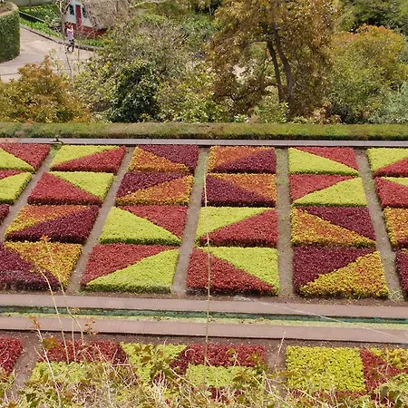 호텔 Pico Da Urze - Paul Da Serra 칼례타