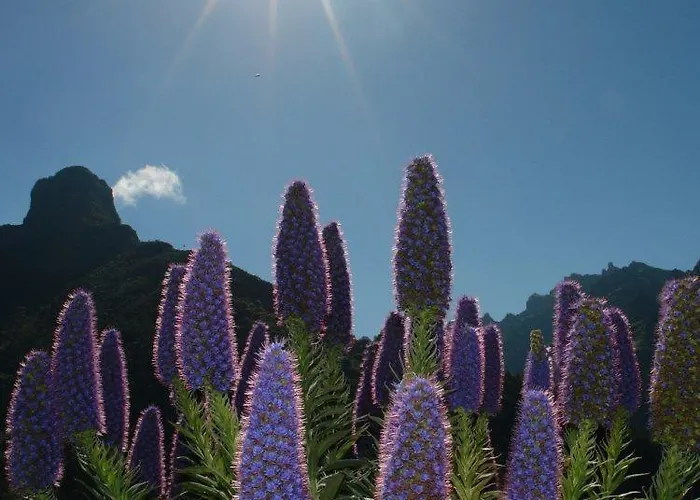 Pico Da Urze - Paul Da Serra