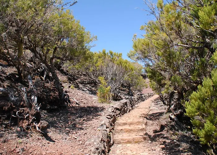 Pico Da Urze - Paul Da Serra Calheta (Madeira)