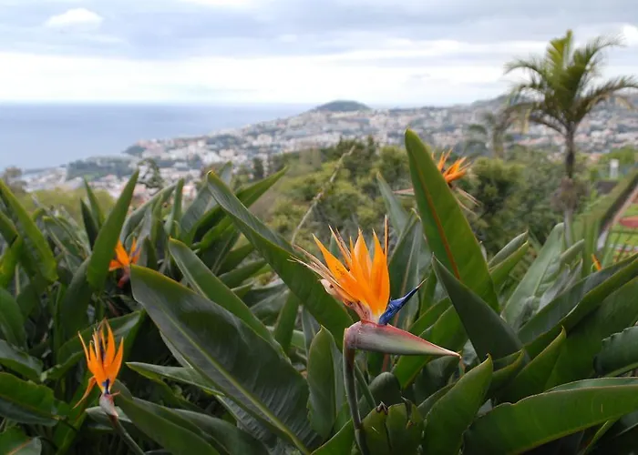 Hotel Pico Da Urze - Paul Da Serra