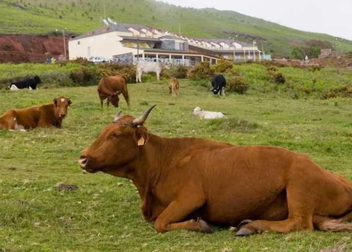 Pico Da Urze - Paul Da Serra